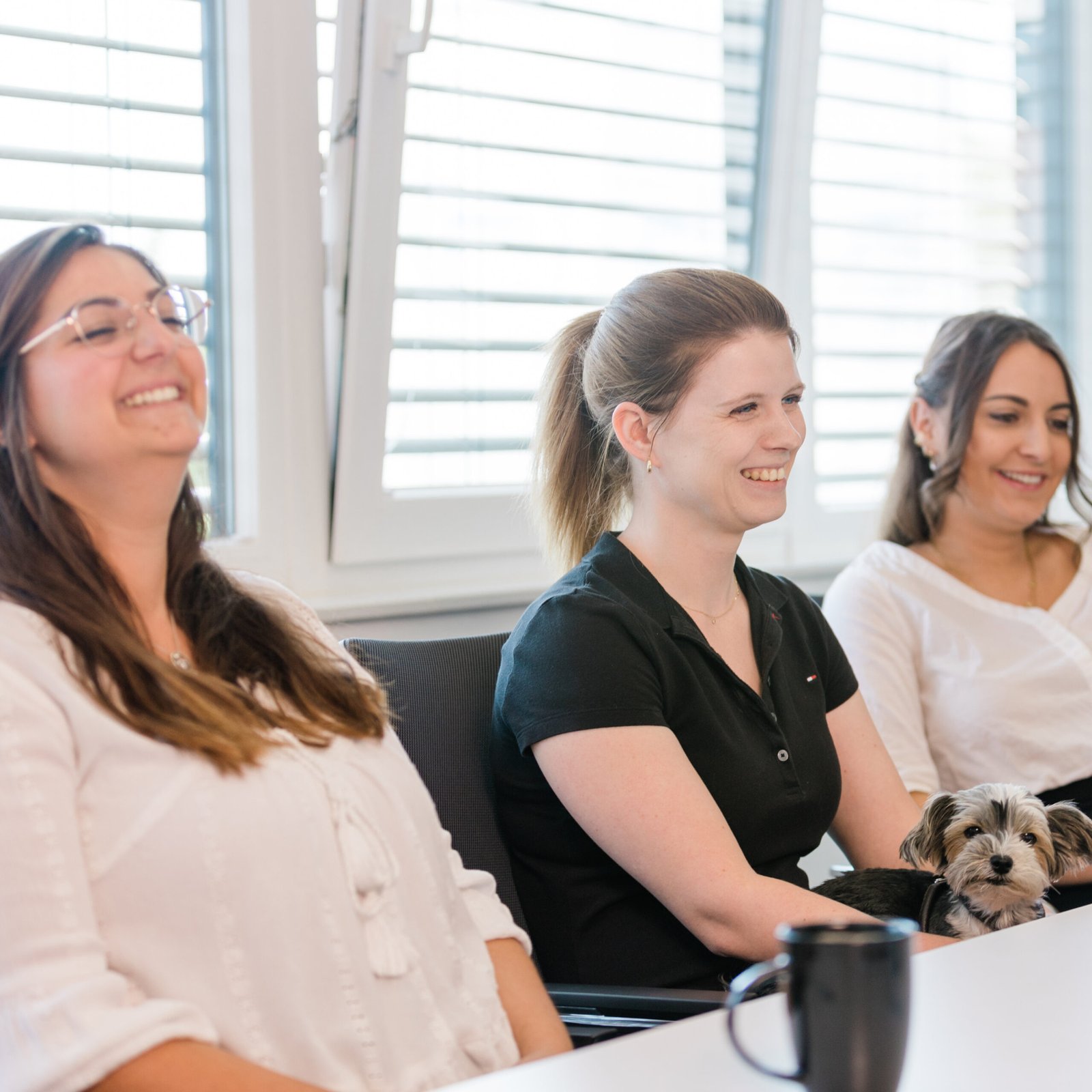 Drei Frauen sitzen lächelnd in einem Kanzleibüro, auf dem Schoß der einen Frau sitzt ein kleiner Hund.